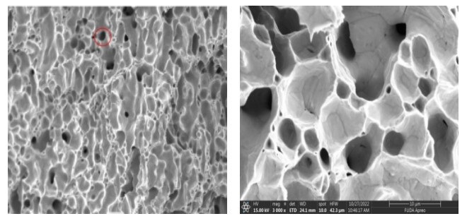 Pores dans la couche d'argent