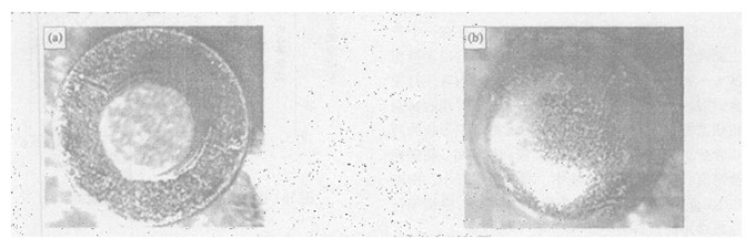 Morphologie des contacts de rivets composites AuNi5/CuNi20