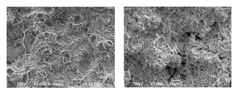 Comparaison MEB des microstructures AgWC