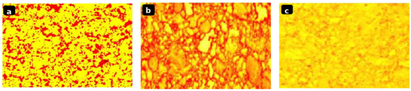 Images métallographiques des éprouvettes Images métallographiques des éprouvettes