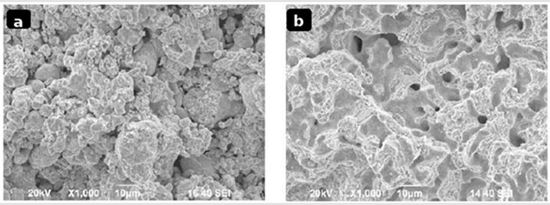 Images SEM des surfaces de fracture des éprouvettes frittées Images SEM des surfaces de fracture des éprouvettes frittées