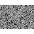 Poudre d'argent micro-nano - PM04