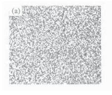 Organisation m&eacute;tallographique